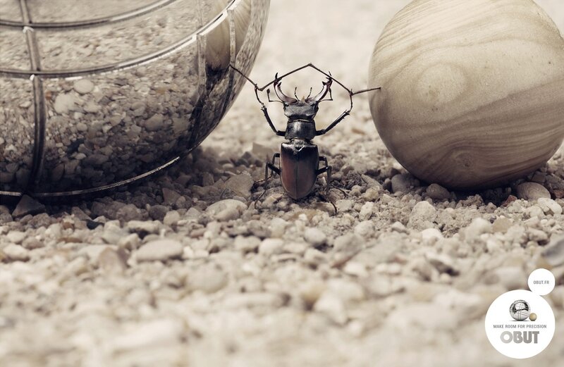 Beetle on gravel with objects