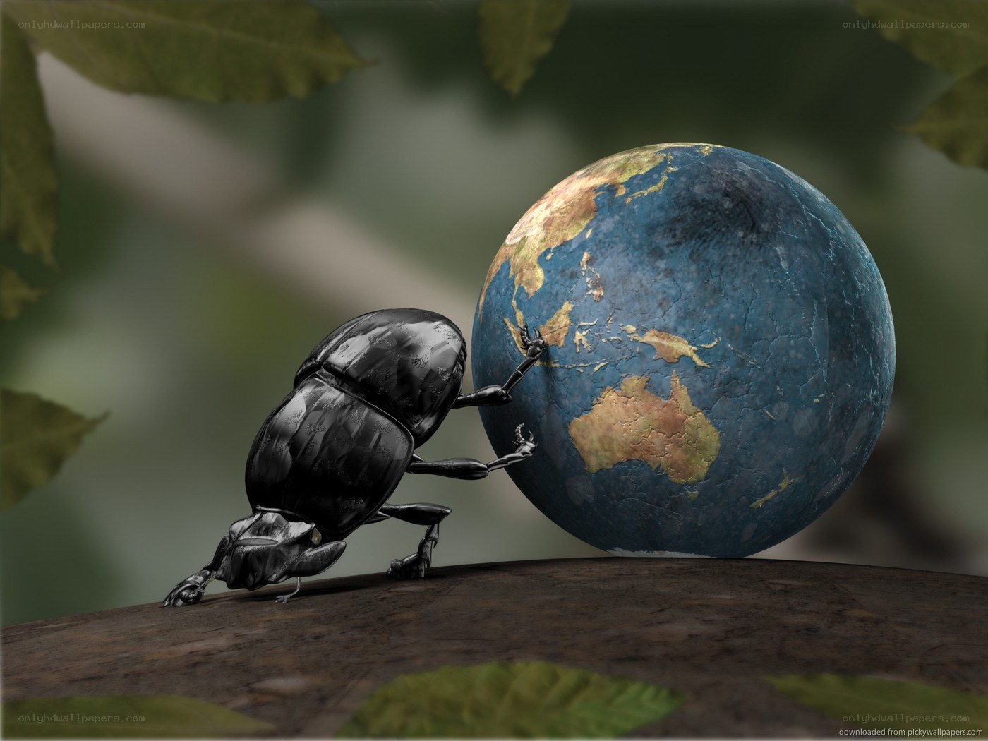 beetle pushing earth