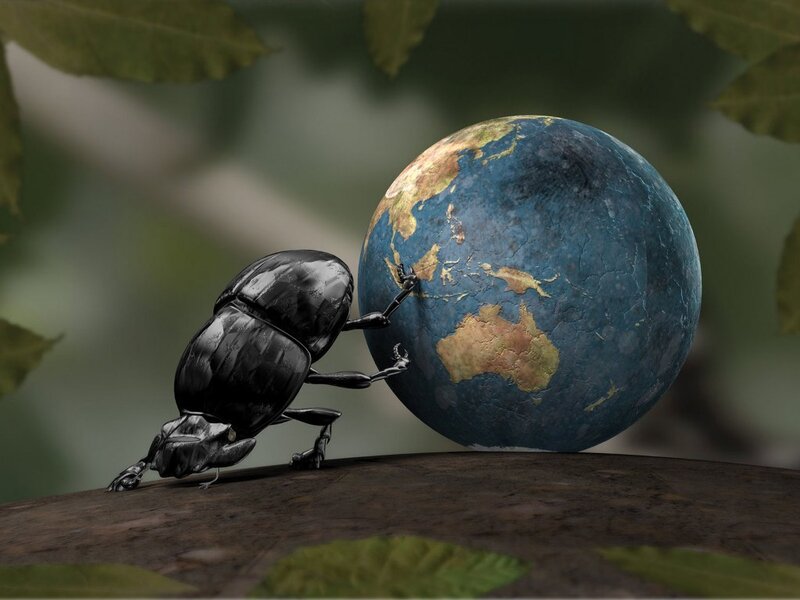 beetle pushing earth