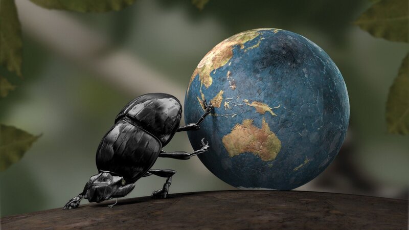 Beetle Pushing Globe — Black, Dramatic, 3d Render, Tree Branch