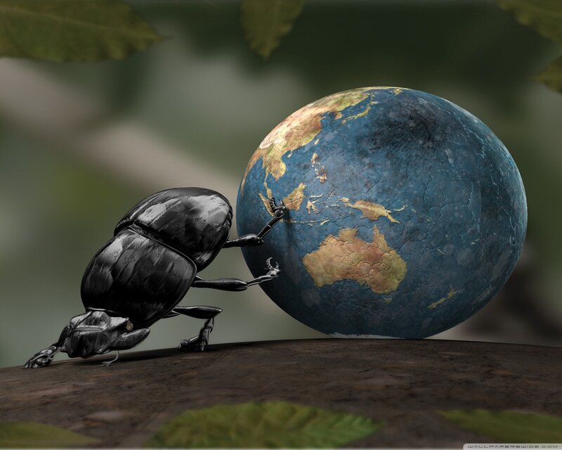 Beetle Pushing Globe — Black, Dramatic