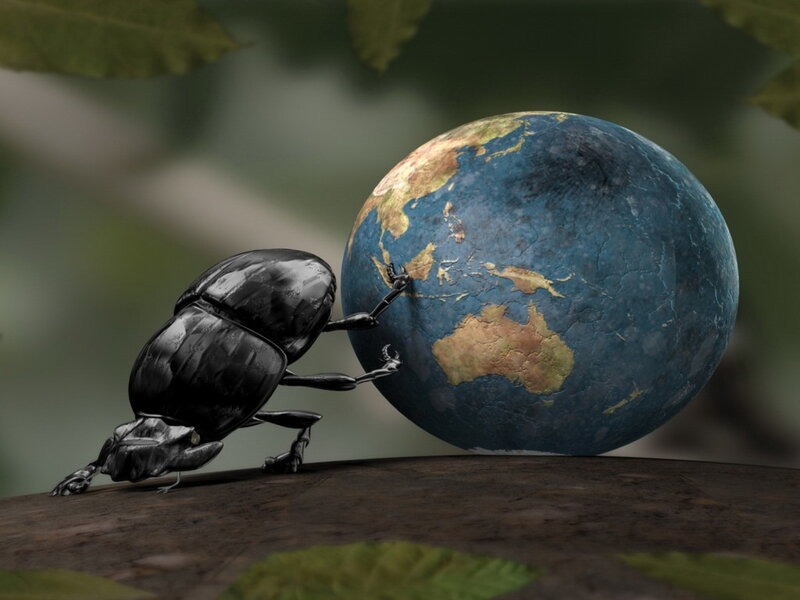Beetle Pushing Globe — Black