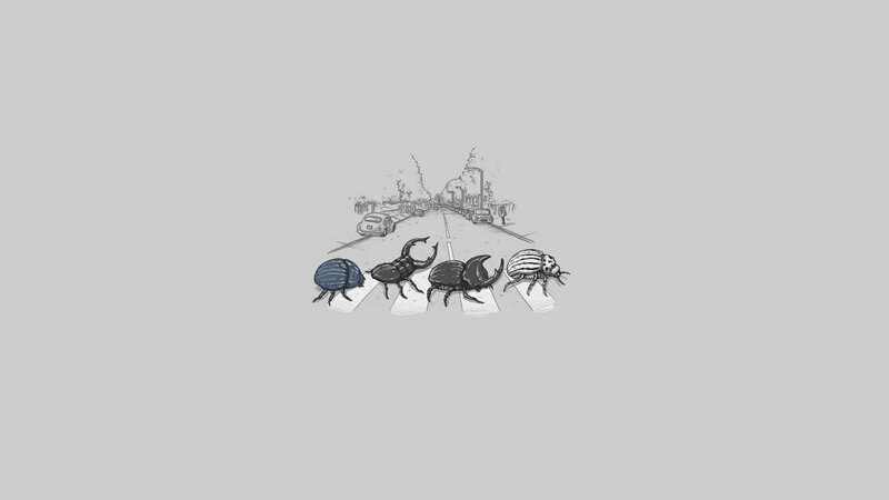 beetles crossing a street