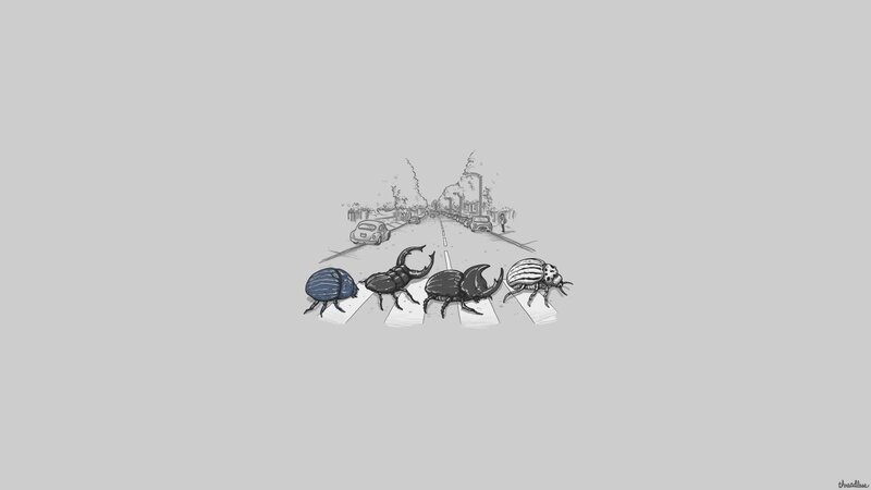 Beetles Crossing Road — Gray