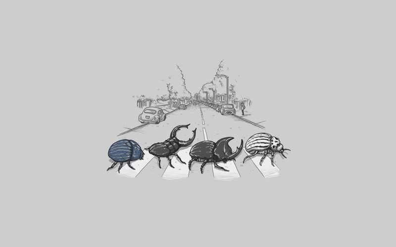 Beetles Crossing Road