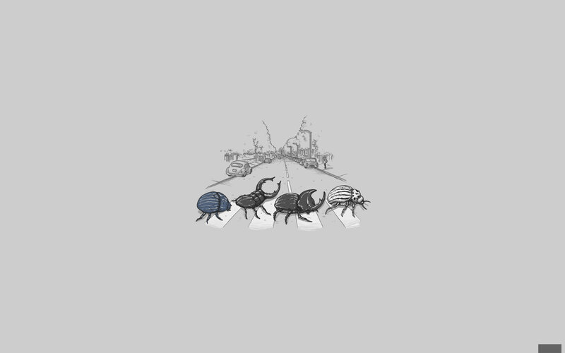 beetles crossing street