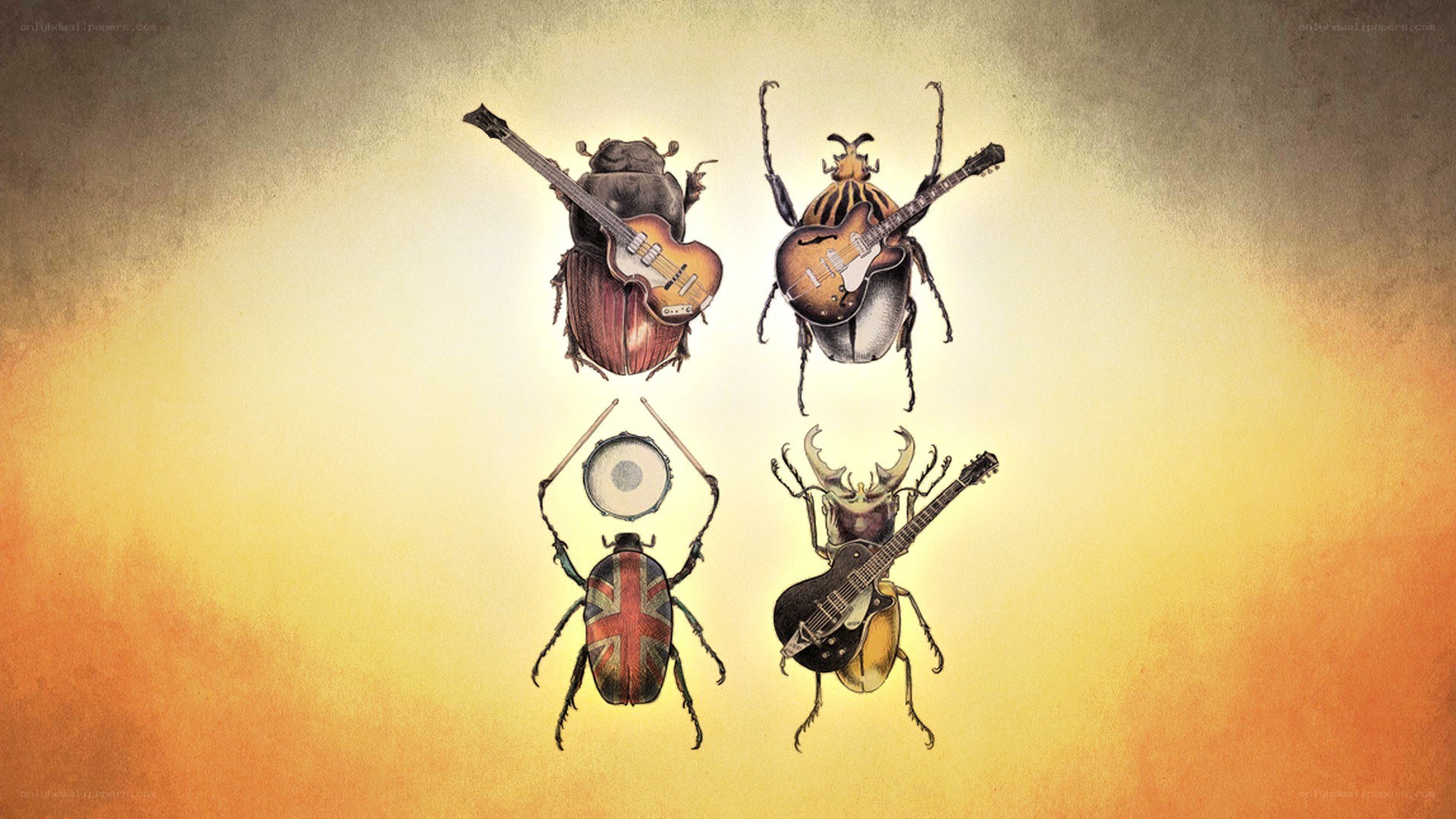 Beetles playing rock music