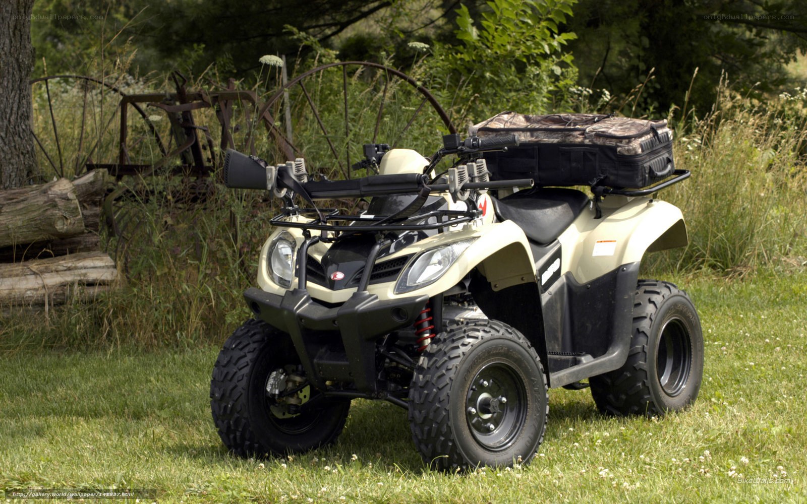 Beige ATV in a grassy field
