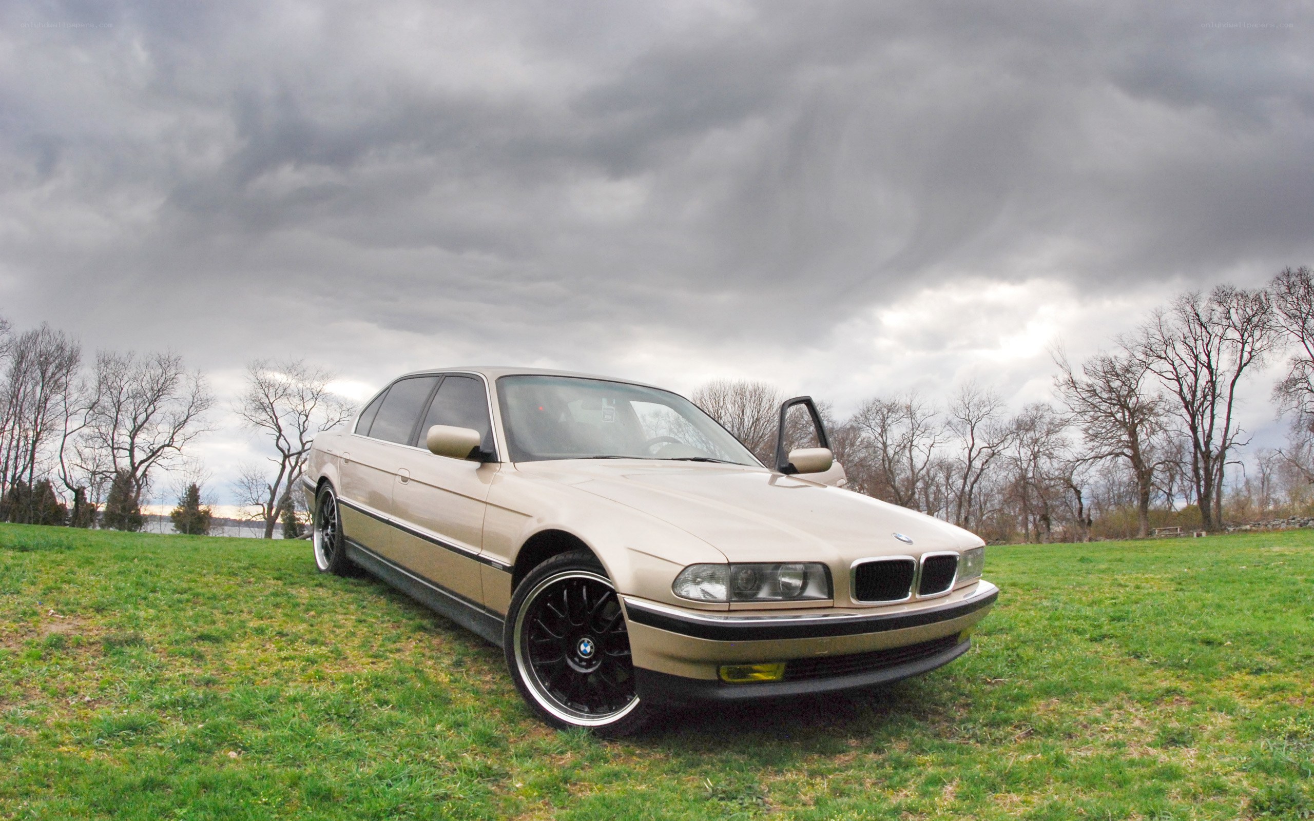 Beige BMW on a grassy field