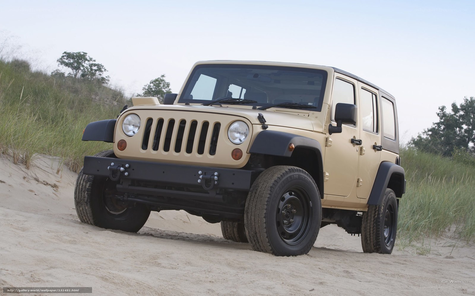 Beige Jeep on sand dunes