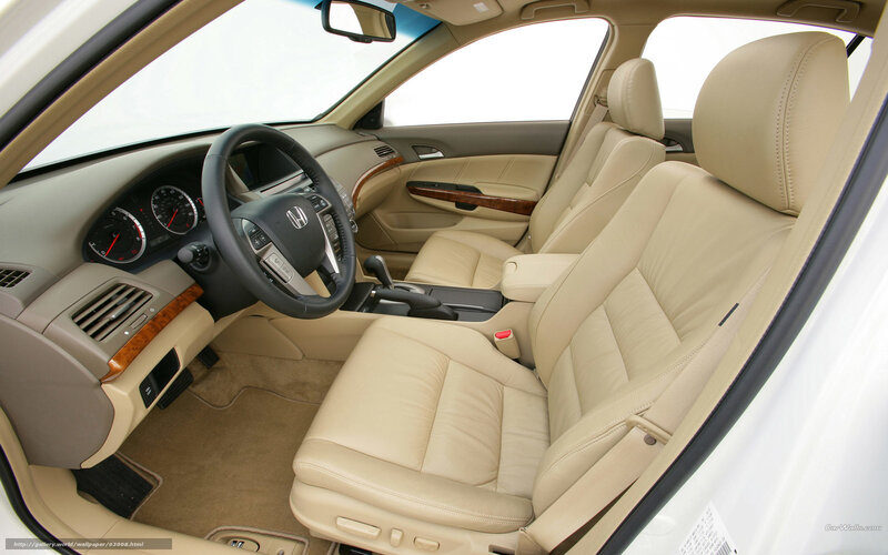 Beige Leather Car Interior — Neutral, Photograph