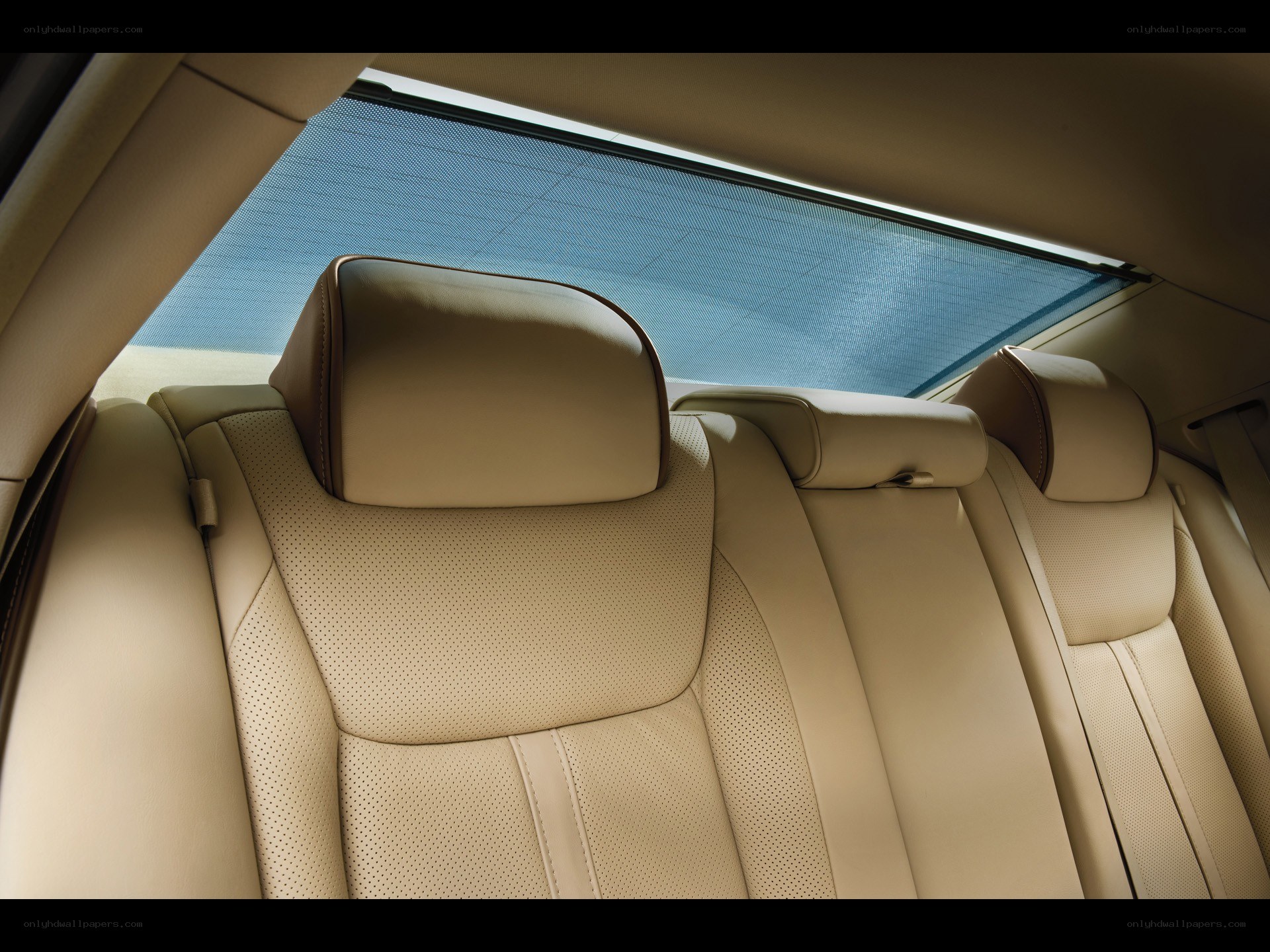 Beige leather car seats