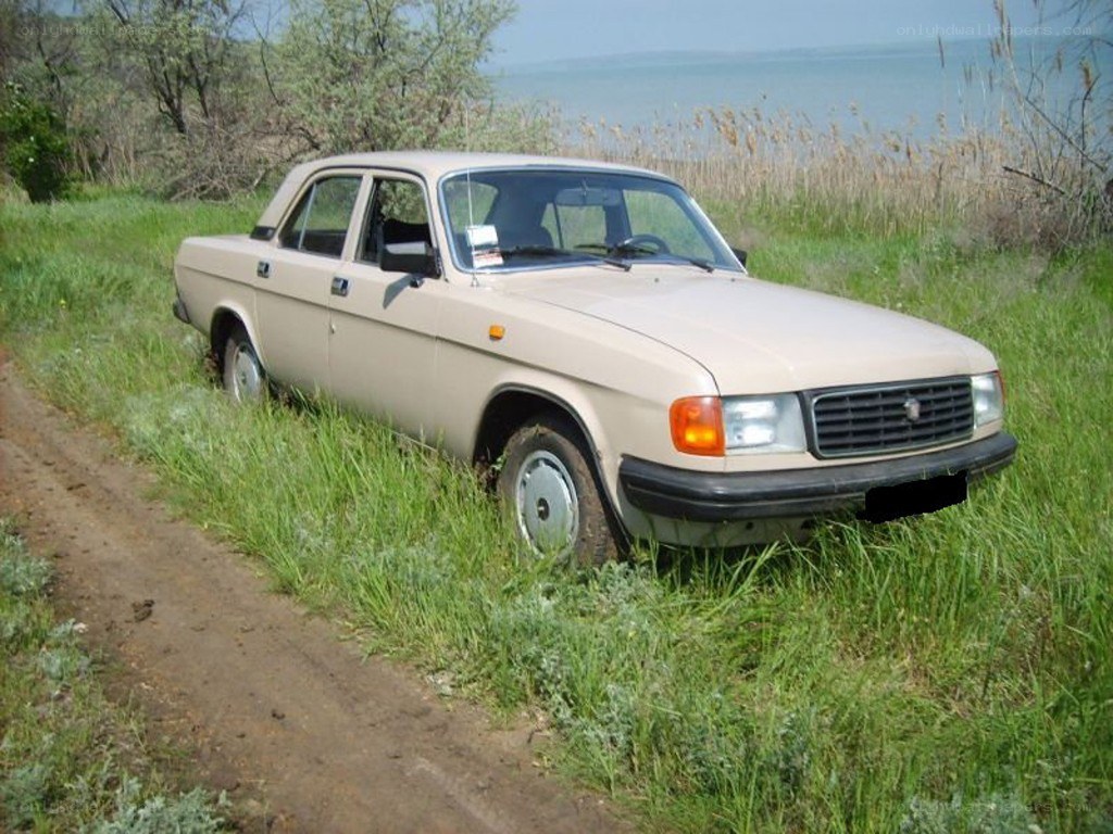 Beige sedan in grassy field