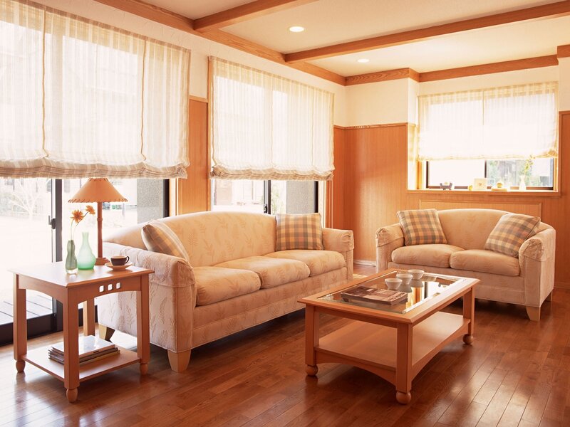 Beige Sofas in Living Room — Brown