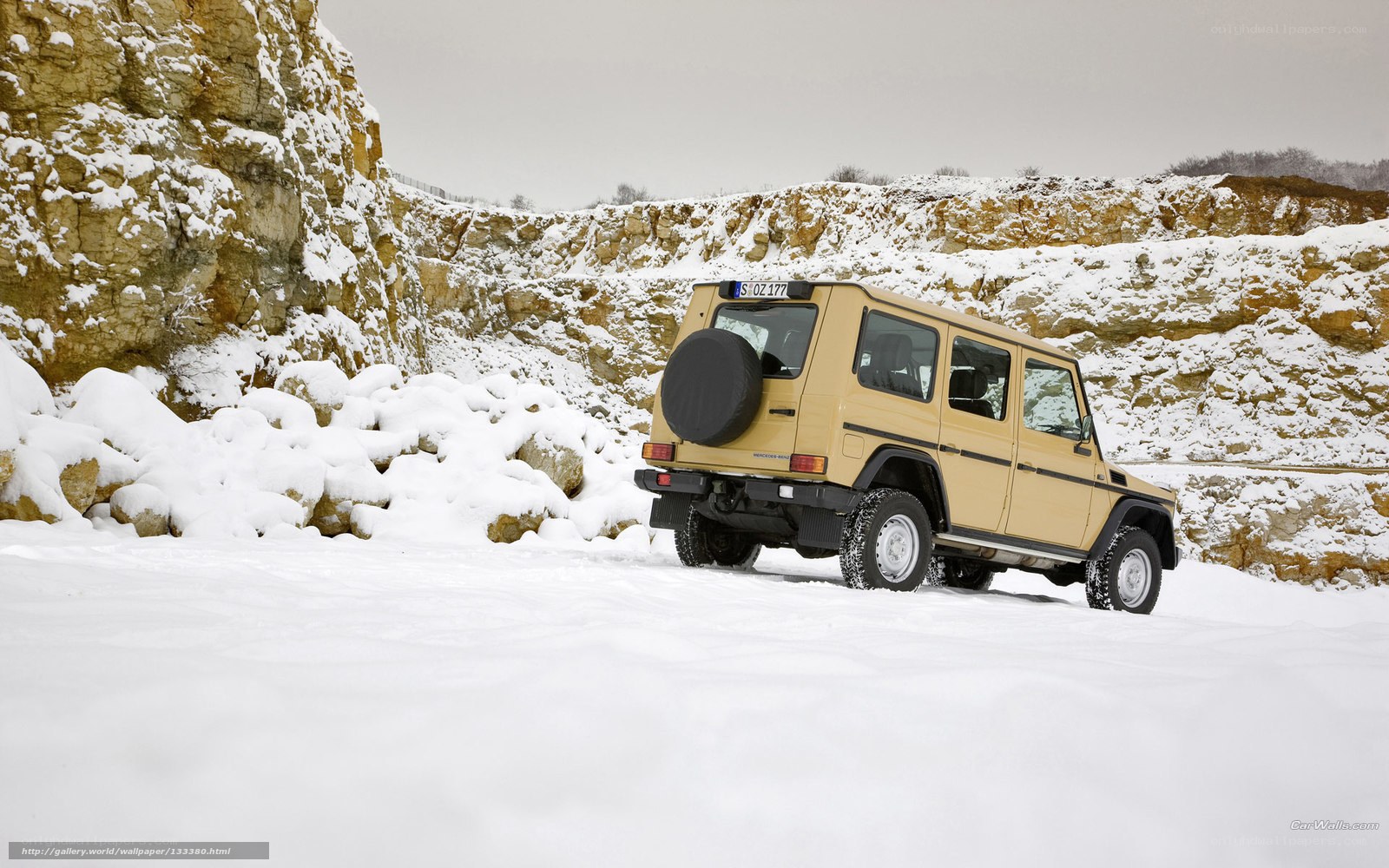 Beige SUV in snowy landscape