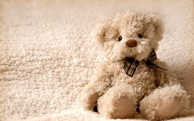 Beige Teddy Bear — Calm, Photograph