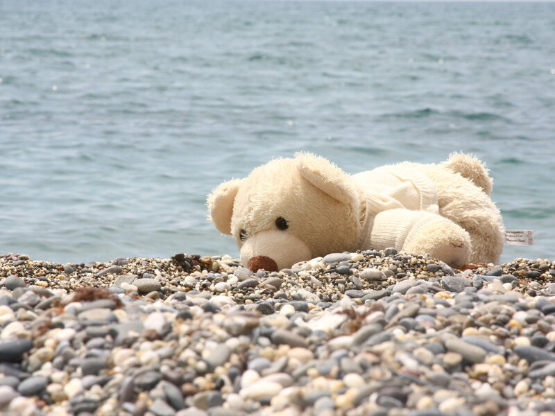 Beige Teddy Bear