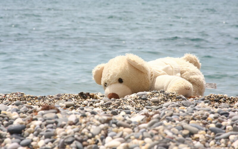Beige Teddy Bear — White