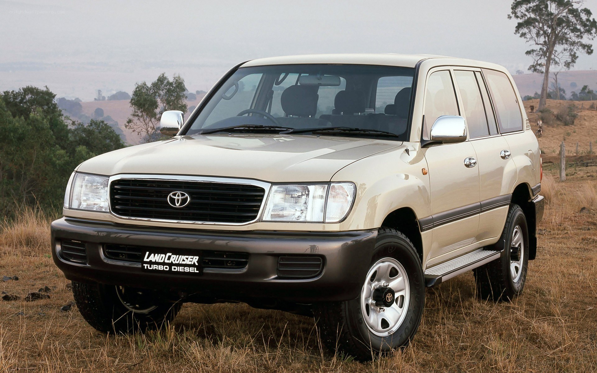 Beige Toyota Land Cruiser