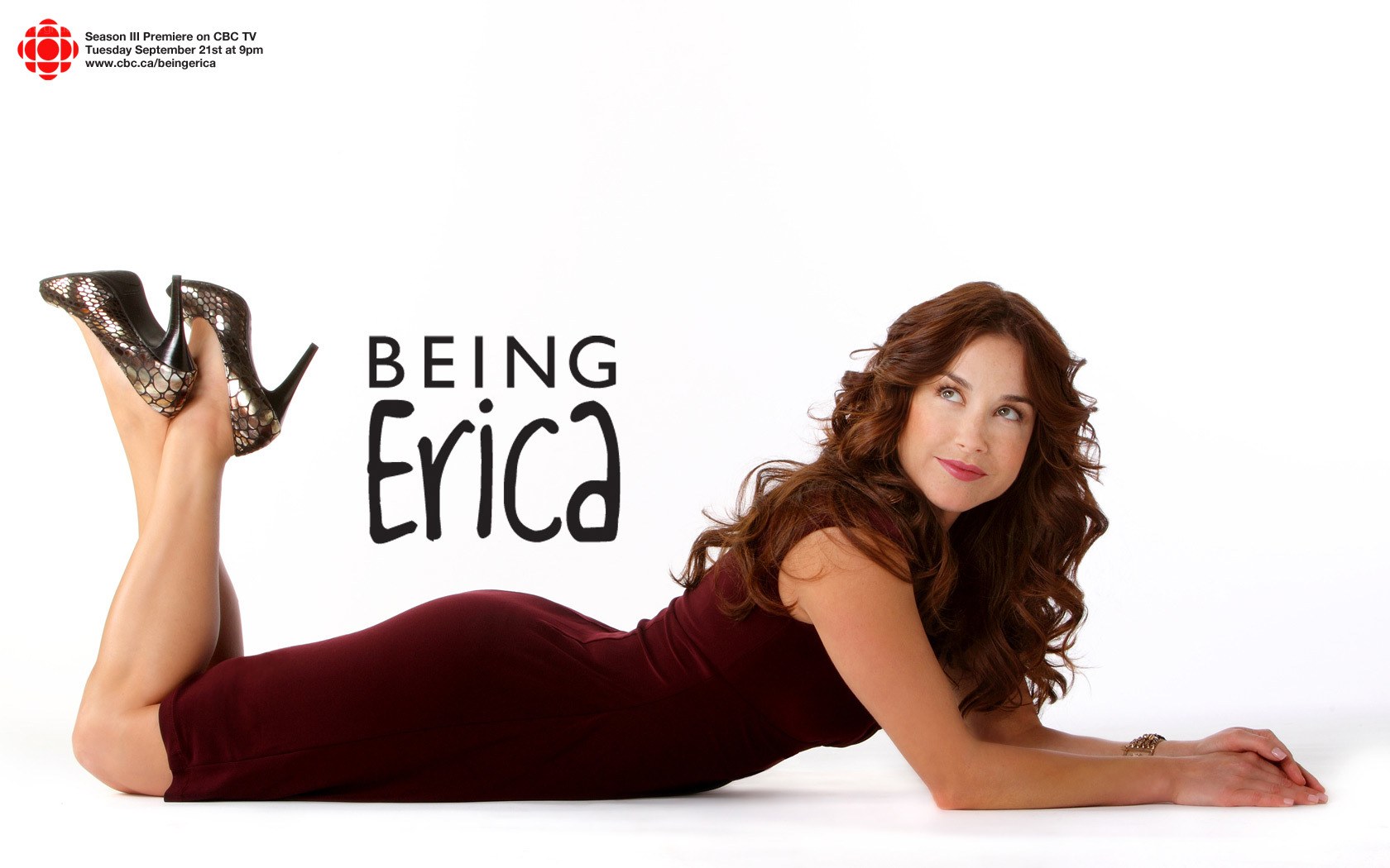 Being Erica promotional image