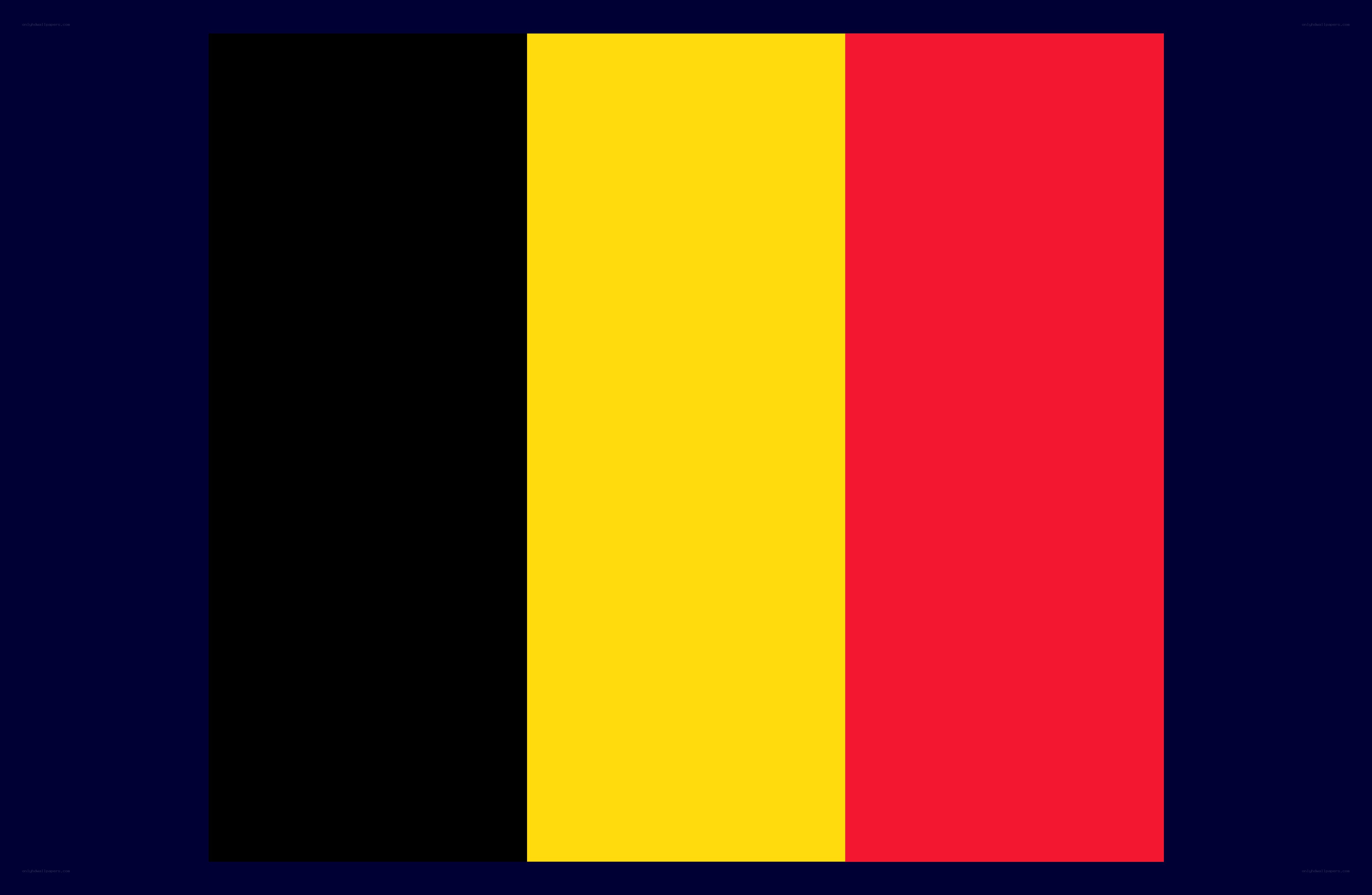Belgian flag with dark border