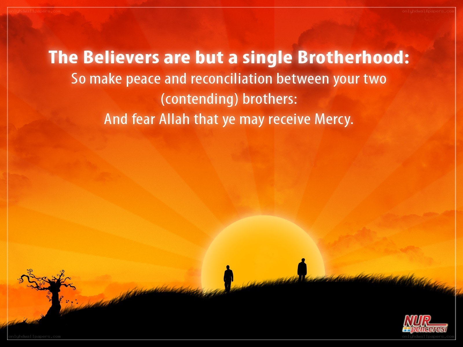 Believers as one brotherhood