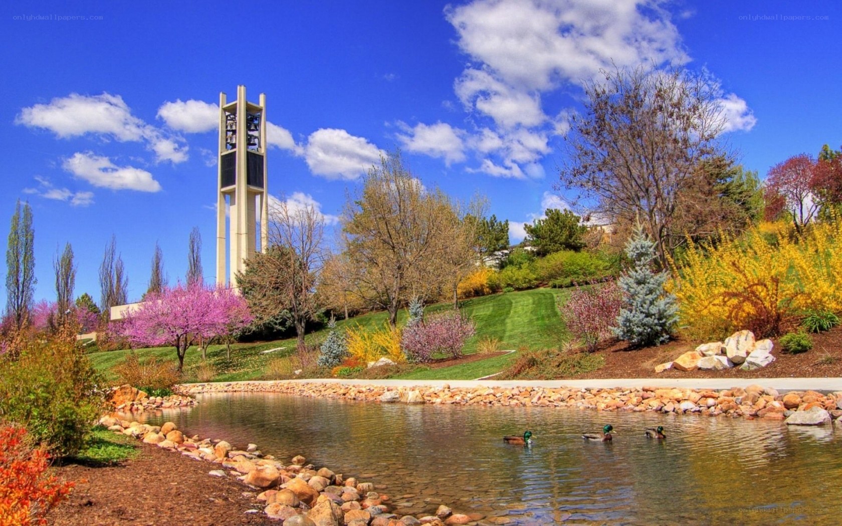 Bell tower and pond in spring