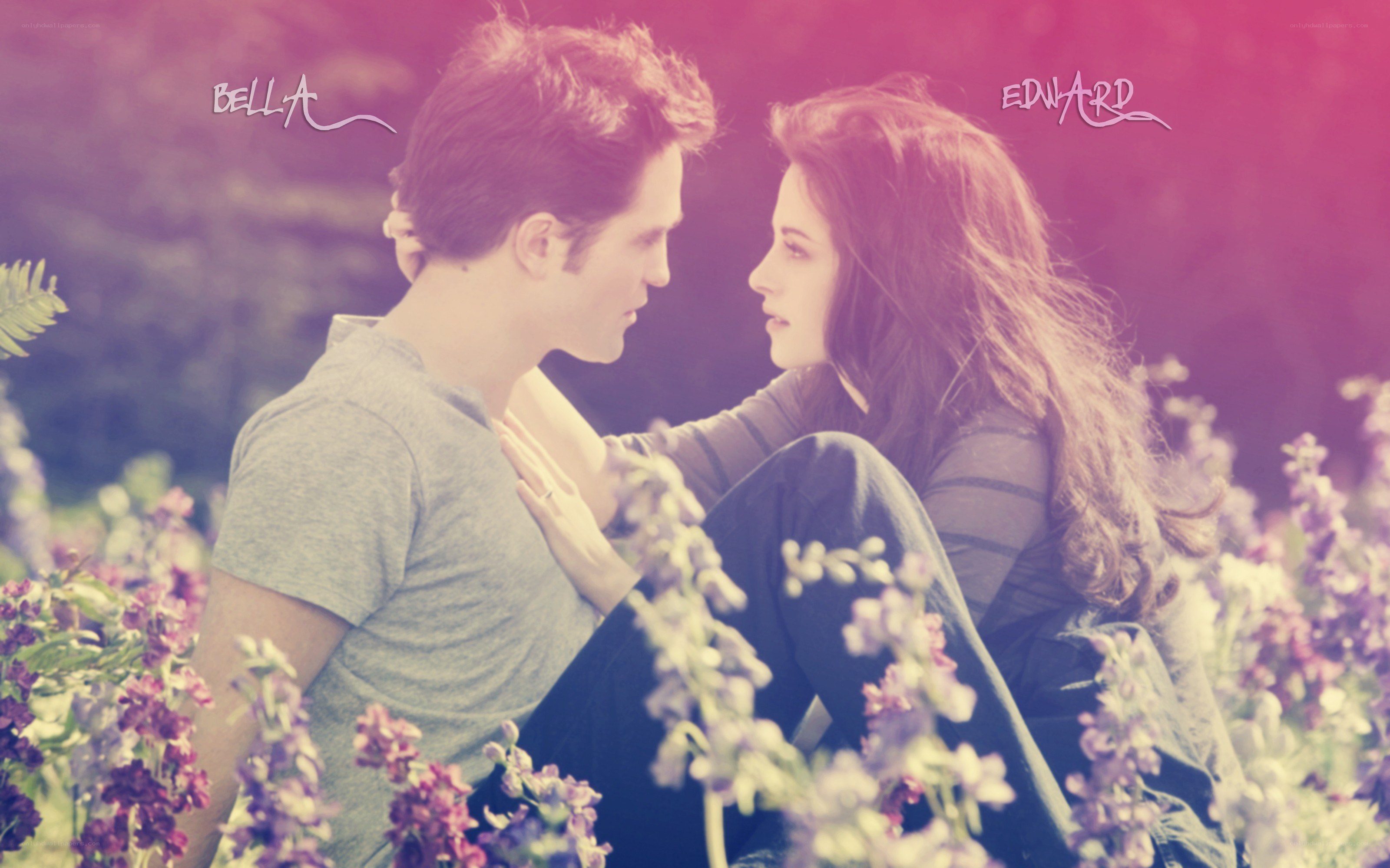 Bella and Edward in a field