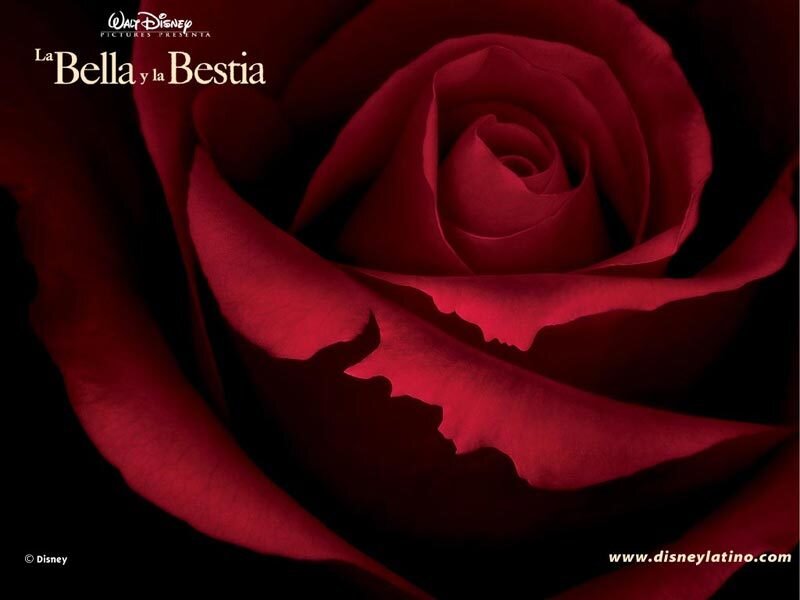 Bella and the Beast movie poster