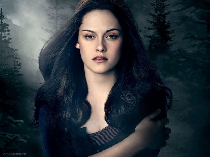 Bella in a misty forest