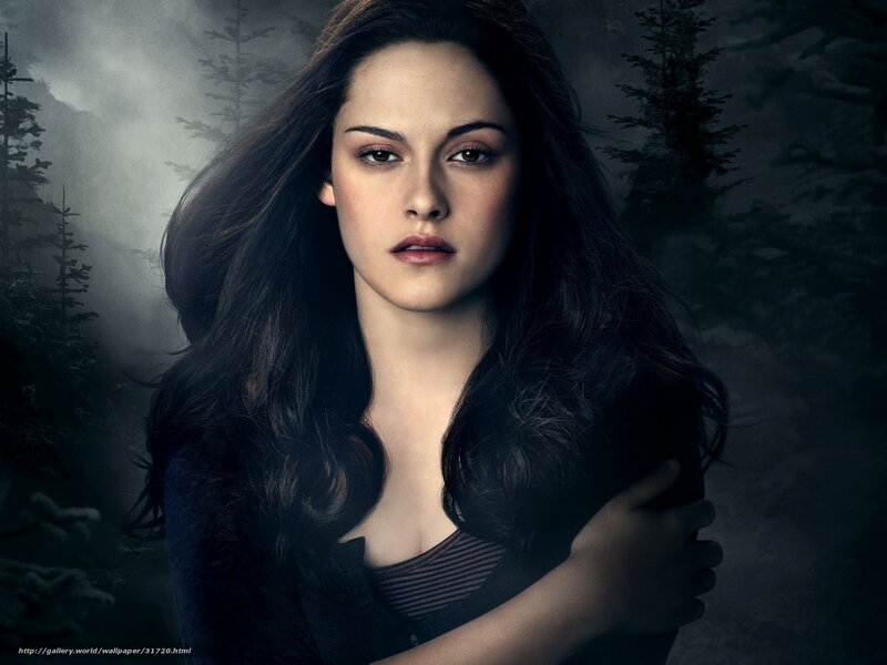 Bella in a misty forest