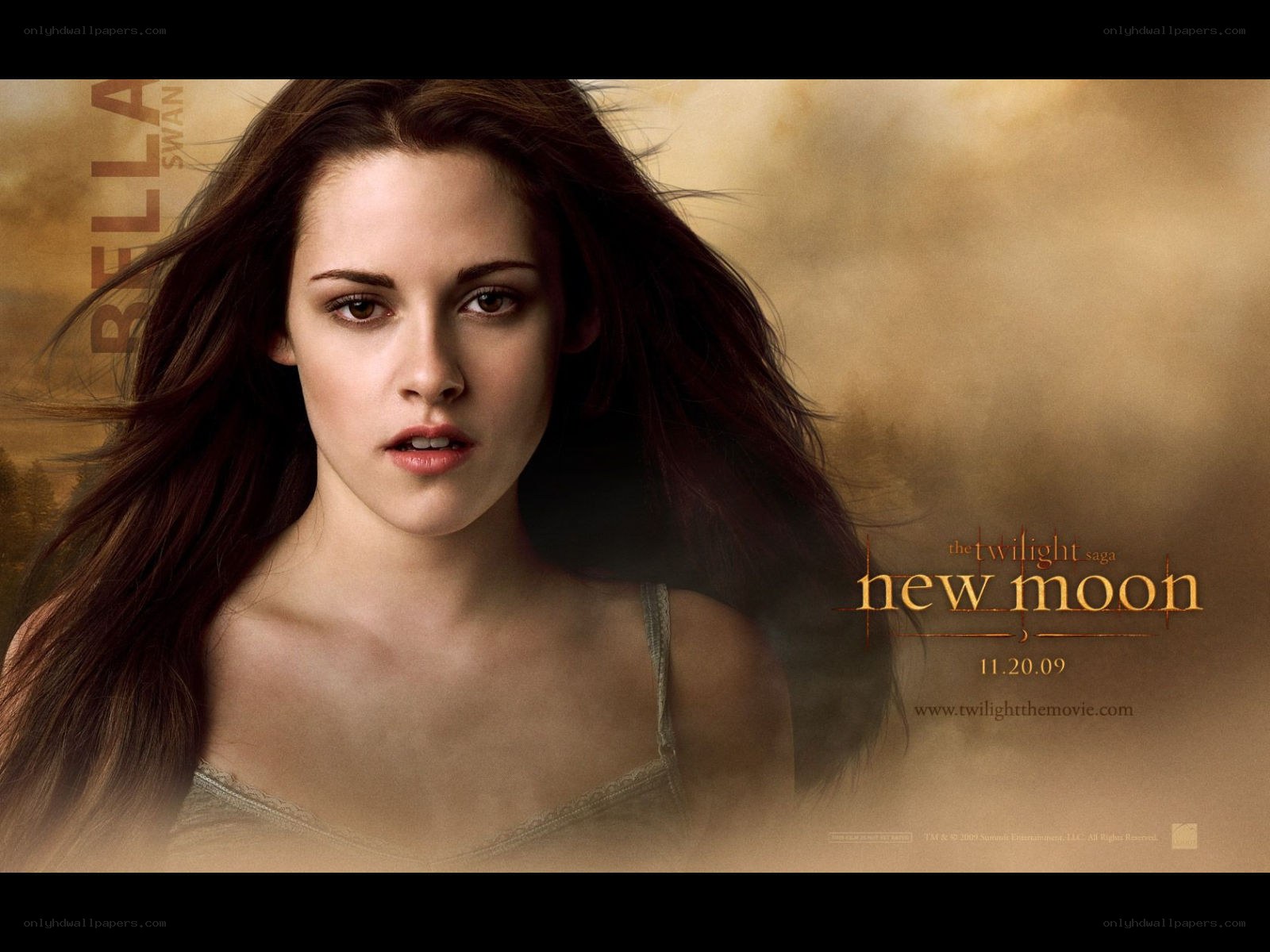 Bella Swan in New Moon