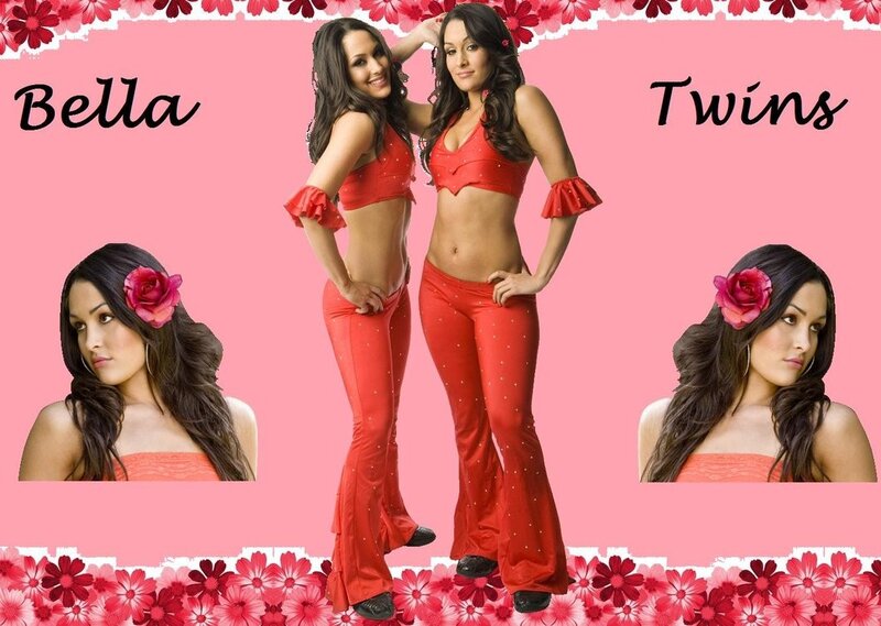Bella Twins in red outfits
