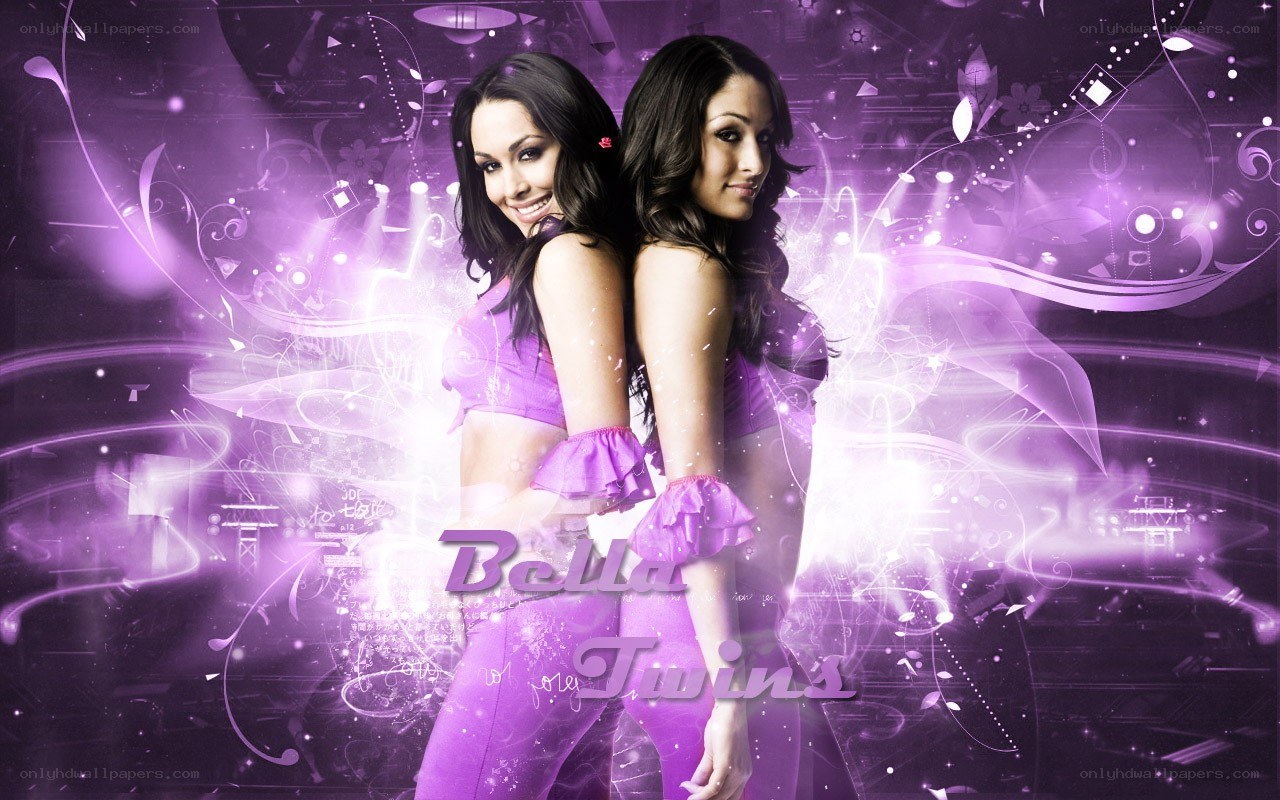 Bella Twins promotional image
