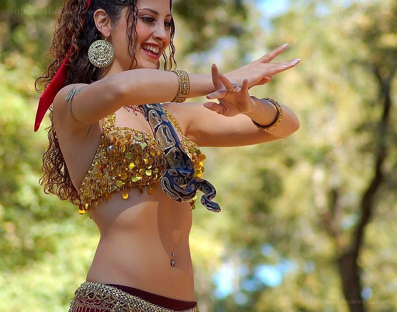 Belly dancer with snake