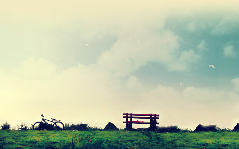 Bench and bicycle in a field