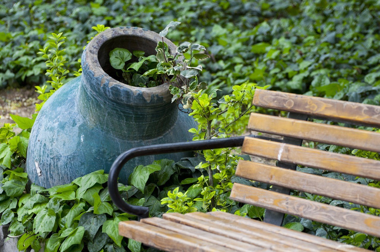 Bench and planter in garden