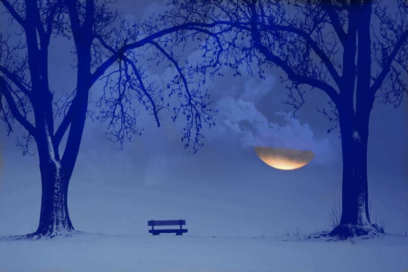Bench Between Trees — Blue