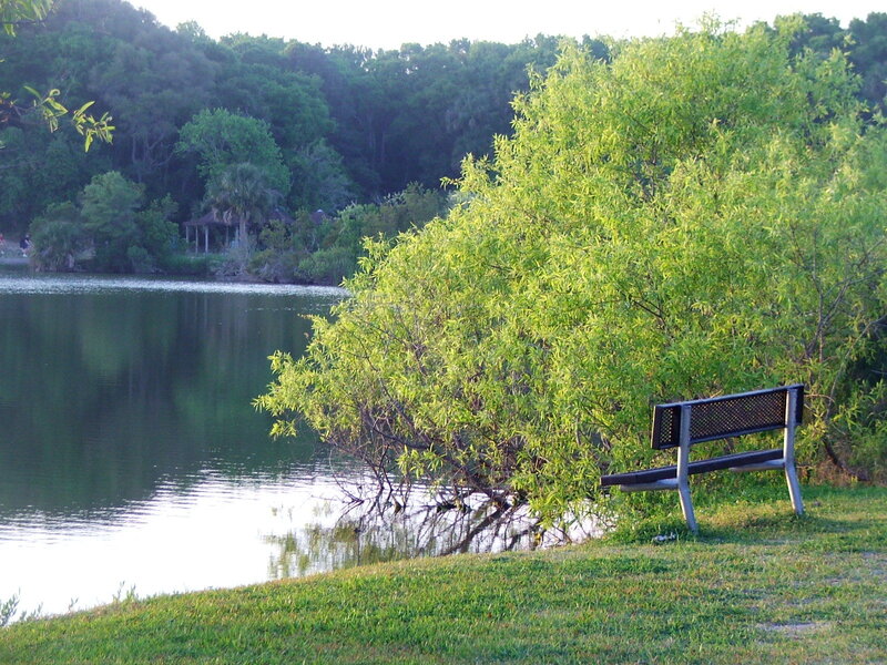 Bench by a lakeside park