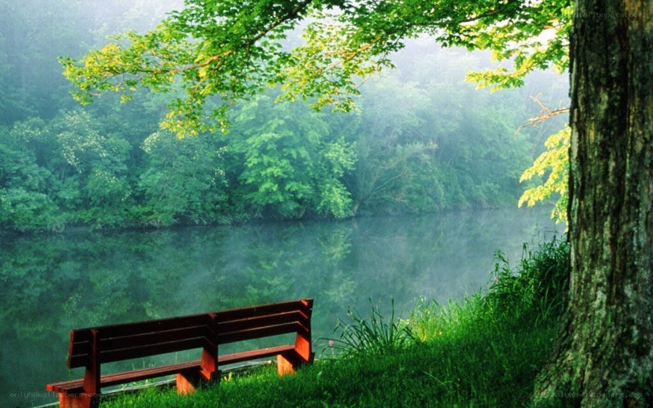Bench by a misty lake
