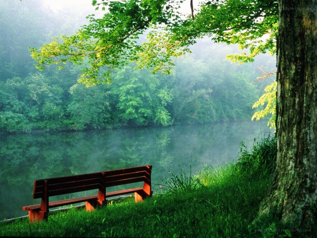 Bench by a misty lake