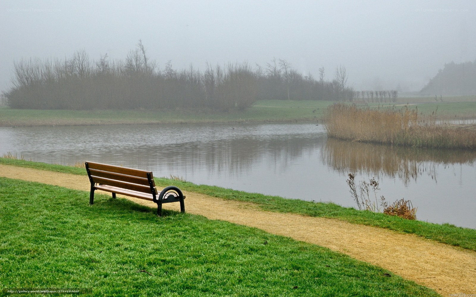 Bench by a misty lake