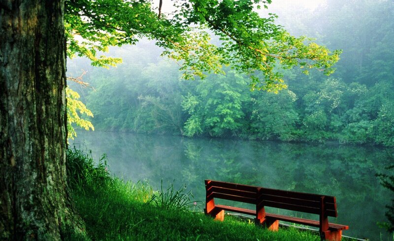 Bench by a misty river
