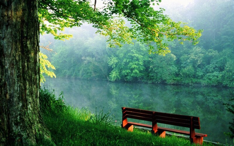 Bench by a misty river