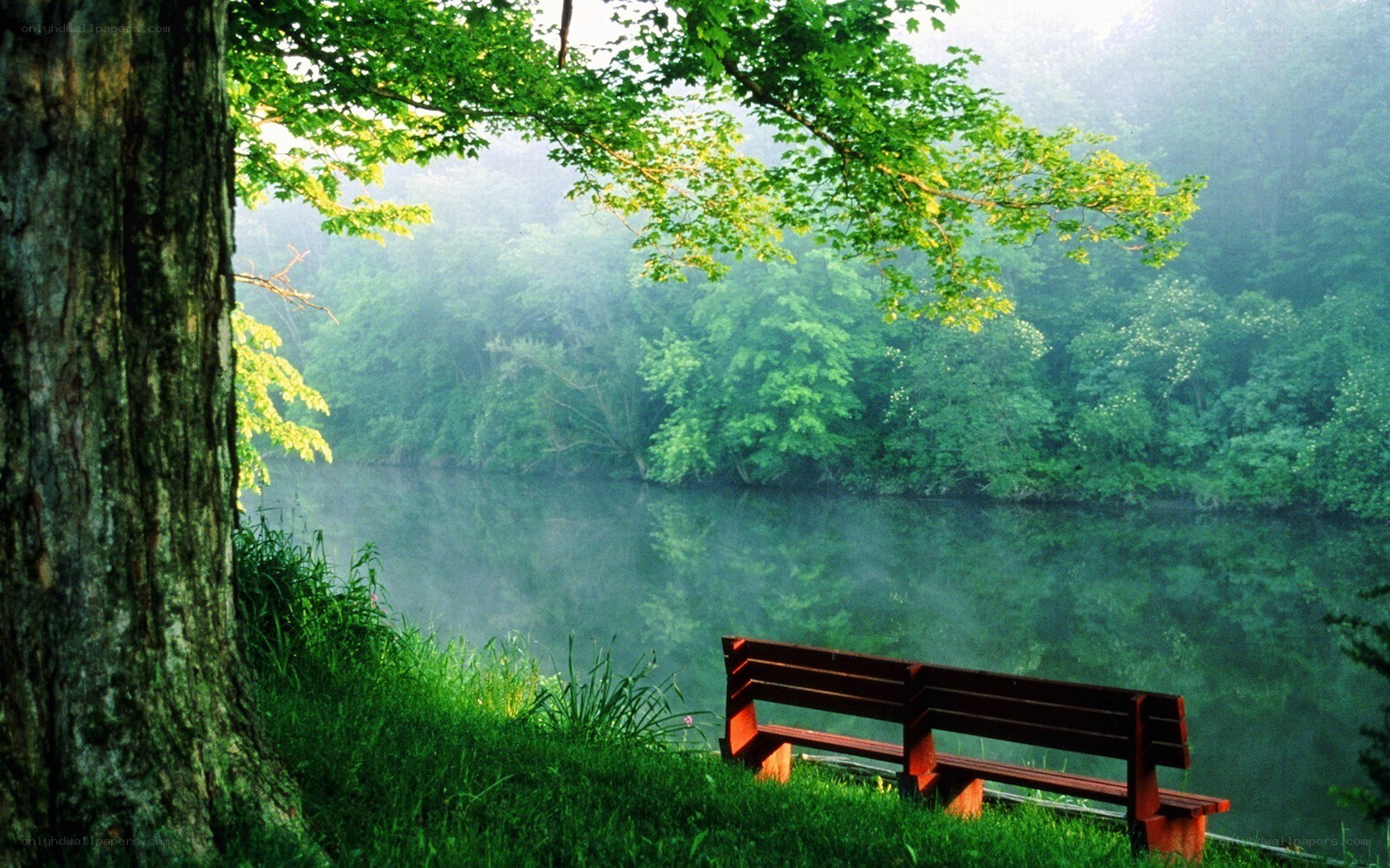 Bench by a misty river