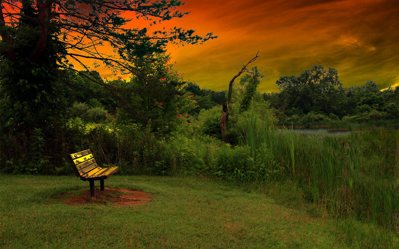 Bench by a pond at sunset