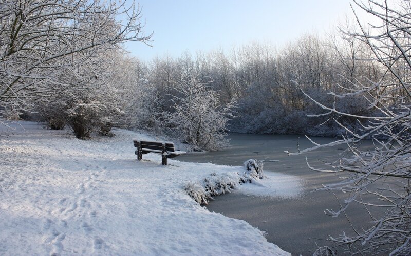 Bench by Frozen Pond
