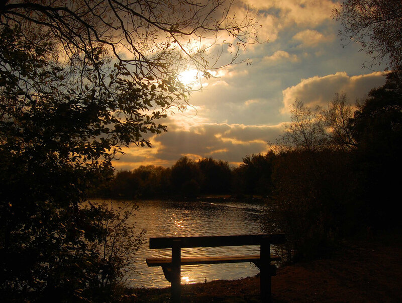 Bench by Lake at Sunset — Gold