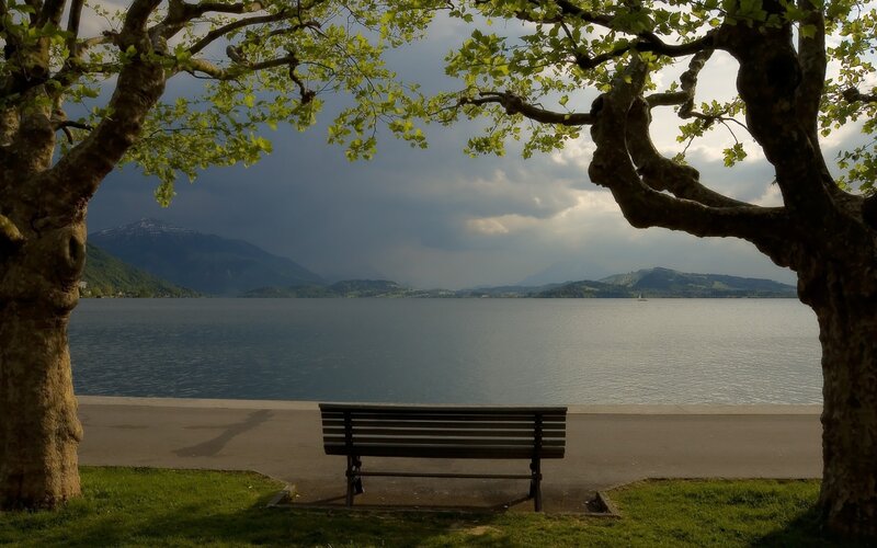 Bench by Lake — Green, Dramatic