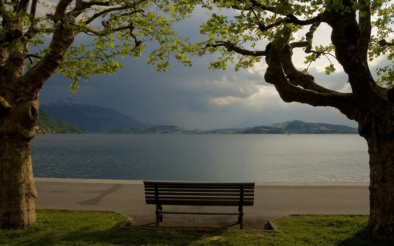 Bench by Lake — Green, Serene, Afternoon, Photograph, Trees, Mountains
